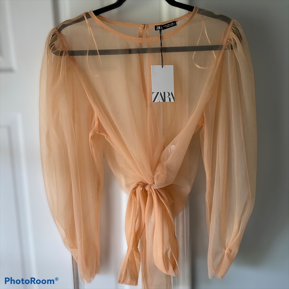 Zara Chiffon Top